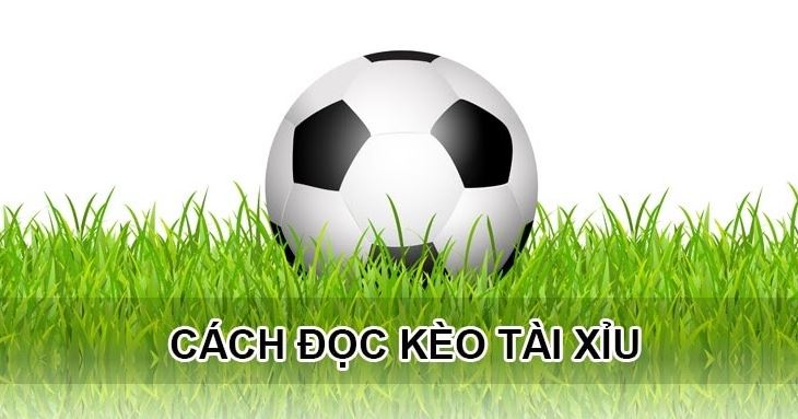 Cách đọc kèo bóng đá tài xỉu Cach doc keo bong da tai xiu