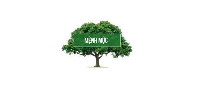 Mau hop voi menh moc la mau gi