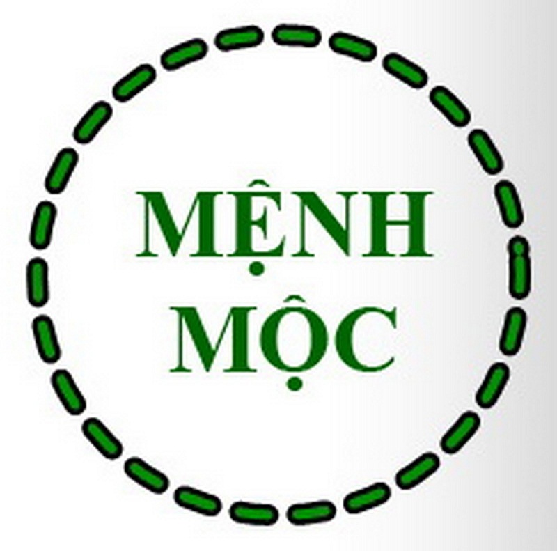 Nguoi menh moc hop voi mau gi