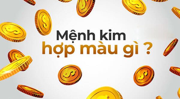 Mau hop voi menh kim chi tiet nhat