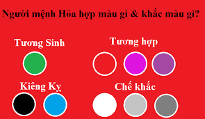 Mau hop voi menh hoa la gi