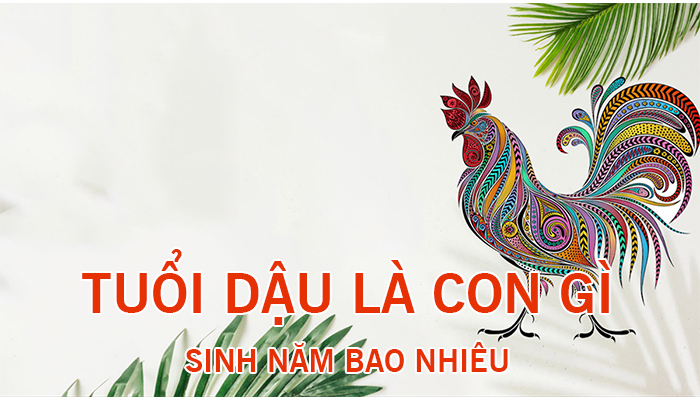 Tinh cam cua tuoi dau 6 thang cuoi nam