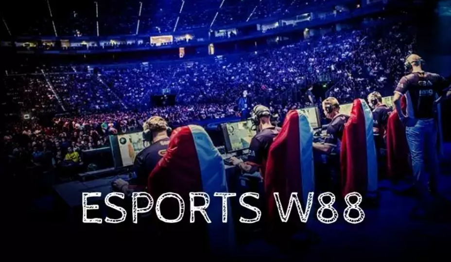 Cac buoc ca cuoc Esports the thao dien tu