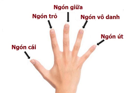 Y nghia xem boi do dai ngon tay