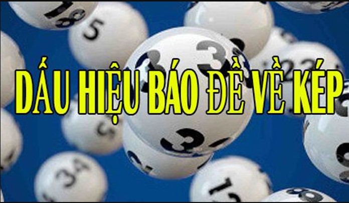Những dấu hiệu đề về kép