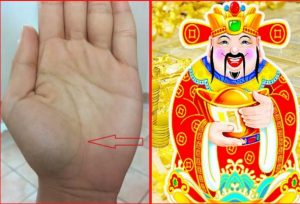 Xem chỉ tay người trúng số