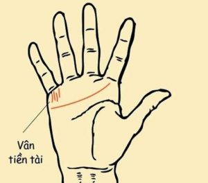 Xem chi tay nguoi trung so qua duong tai van