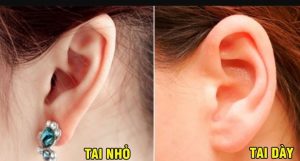 Xem tai doan tuong giau sang chi tiet nhat