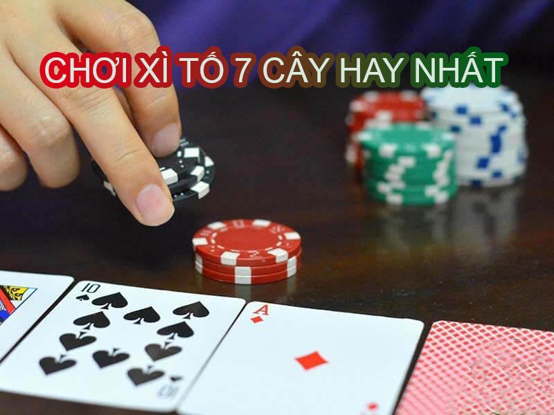 Luat choi Xi To 7 cay tai W88 