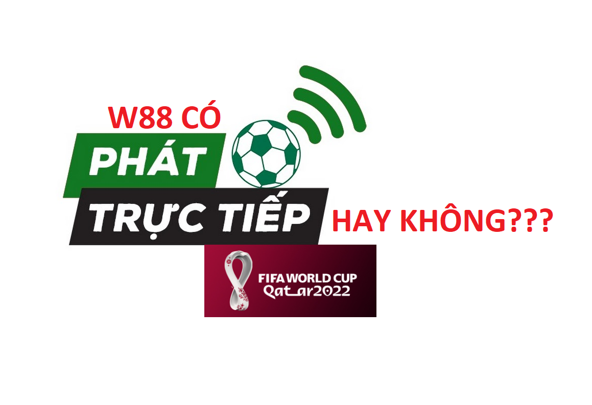 Tim hieu W88keo co truc tiep WC 2022 khong?