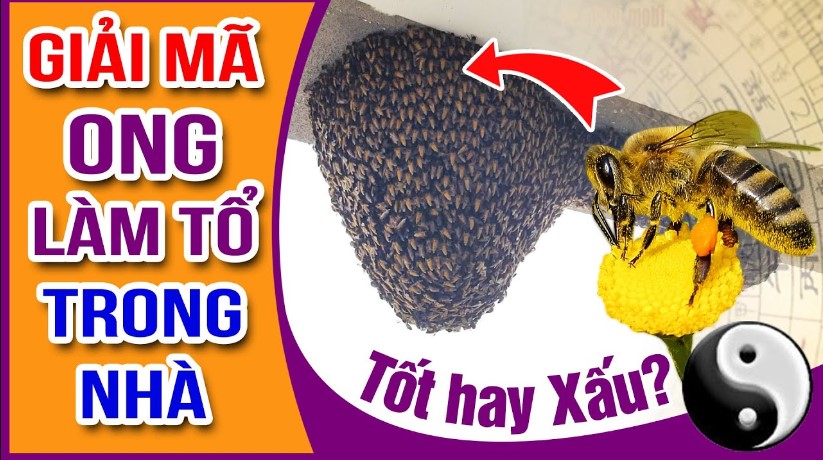 ong lam to trong nha mang diem gi 1