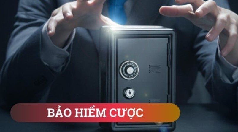 bao-hiem-ca-cuoc 1