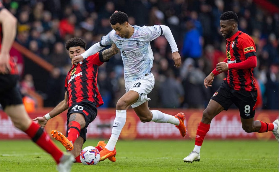 Phan tich phong do Bournemouth vs Liverpool gan day