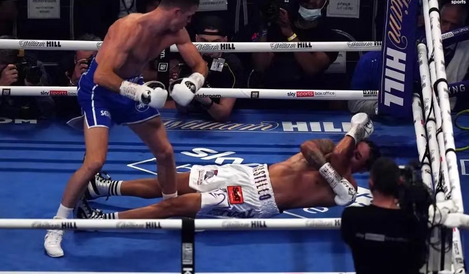 Luat choi ca cuoc Boxing W88