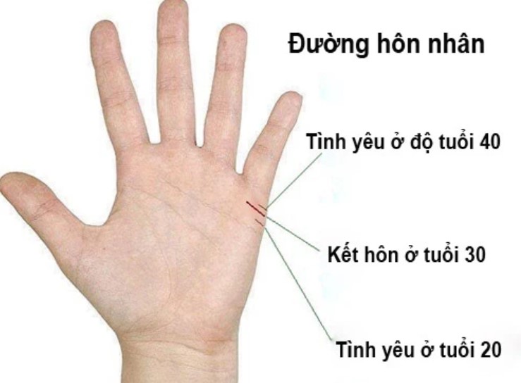 Xem đường chỉ tay doan tuoi ket hon