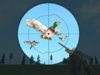 game bird hunter w88
